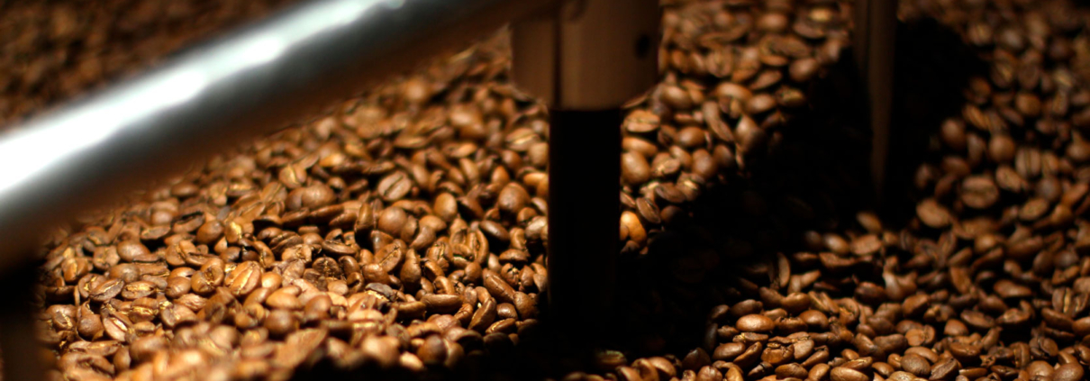 Diferença entre café tradicional, gourmet e especial